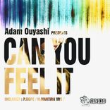 Portada para "Can You Feel It"