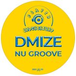 Artwork für "Nu Groove"