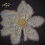 Artwork für "Meetjune"