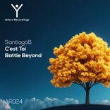 Artwork voor "C'est Toi"