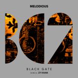 Artwork for "Black Gate"