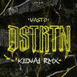 Artwork for "DSTRTN (Kenai Remix)"