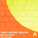 Artwork für "Brick by Brick (Valy Mo Remix)"