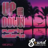 Artwork voor "Puerto Vallarta"