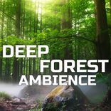 Calming Deep Forest Sounds