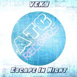 Escape In Night