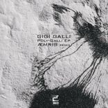 Artwork voor "Poly Galli ep"