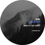 Artwork for "Nice & Tripp"