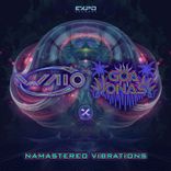 Artwork for "Namastereo Vibrations"