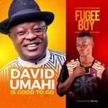 Artwork for "David Umahi Is Good to Go"