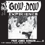 Artwork for "The Gow-Dow Experience"