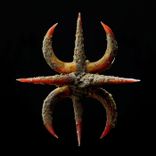 Artwork for "100 Nights"