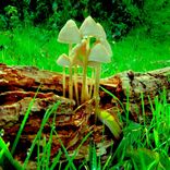 Portada para "Drux and Beatz"