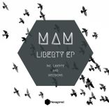Artwork for "Liberty"