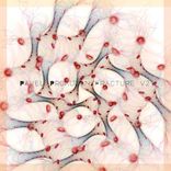 Portada para "Fracture V. 2"