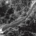 Artwork for "Painlessly in Love"