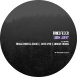 Artwork voor "Look Away"