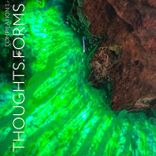 Artwork for "VA - Compilation 1 / THOUGHTS.FORMS"