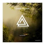 Artwork for "Latidos"