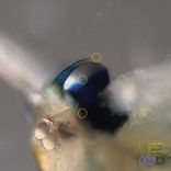 Artwork for "Time Piece / Comfort Zone"