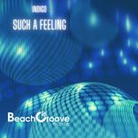 Portada para "Such a feeling"