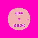 Portada para "Bouncing"