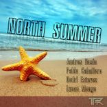 Artwork voor "North Summer"
