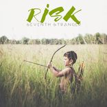 Artwork for "RISK"