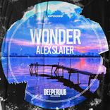 Wonder