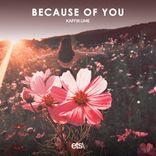 Portada para "Because Of You"