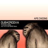 Artwork voor "Phantom Drone"