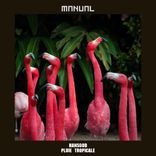 Artwork for "Pluie Tropicale"