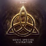 Artwork for "Liquid Connective"