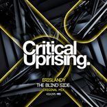 Artwork für "The Blind Side"