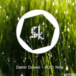 Artwork for "ACID Nina"