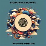 Artwork for "Skies of Wonder"