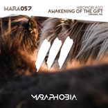 Artwork für "Awakening Of The Gift"