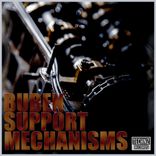 Artwork für "Support Mechanisms"
