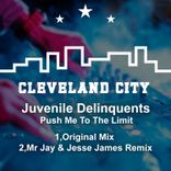 Artwork voor "Push Me to the Limit"