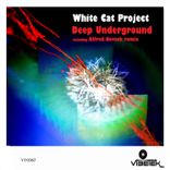 Artwork voor "Deep Underground"