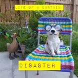 Portada para "Disaster"