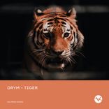 Artwork for "Tiger"
