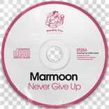 Artwork for "Never Give Up"