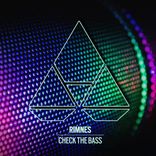 Artwork voor "Check The Bass"