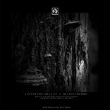 Lost in the Shell Part II