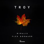 Artwork for "Troy"
