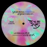 Artwork for "Demotherapy"