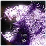 Artwork for "Kombucha"