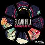 Artwork for "Meaning Of My Life"