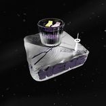 The Duke of no Hooks